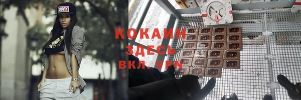 хмурый Абаза