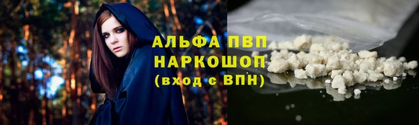 хмурый Абаза