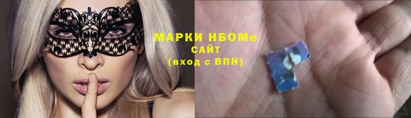 хмурый Абаза