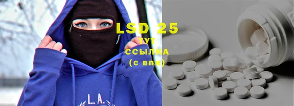 хмурый Абаза