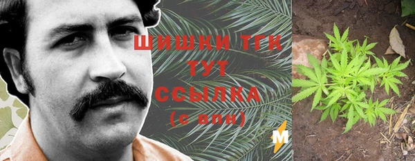 хмурый Абаза