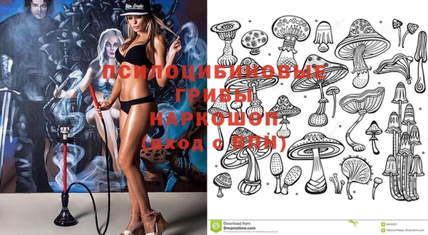 мдпв Алексин
