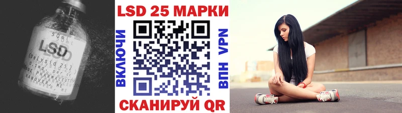 как найти наркотики  Шилка  Лсд 25 экстази ecstasy 