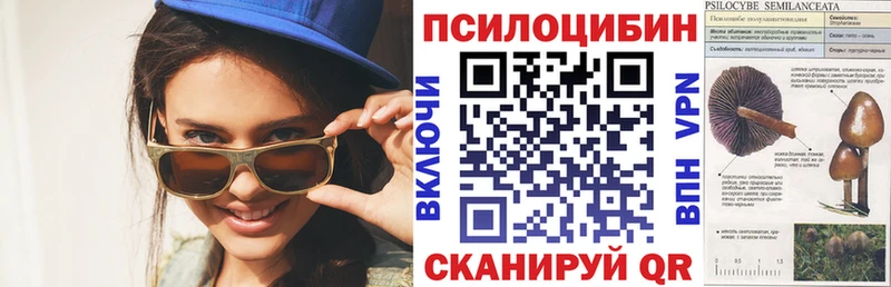 Псилоцибиновые грибы мухоморы Шилка