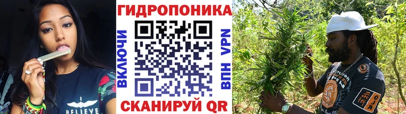 МАРИХУАНА OG Kush  Шилка 